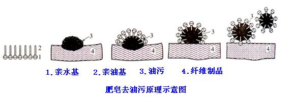 肥皂、洗衣粉和洗衣液三者有哪些區別？